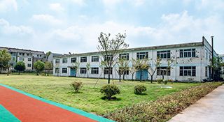 公司動(dòng)態(tài)